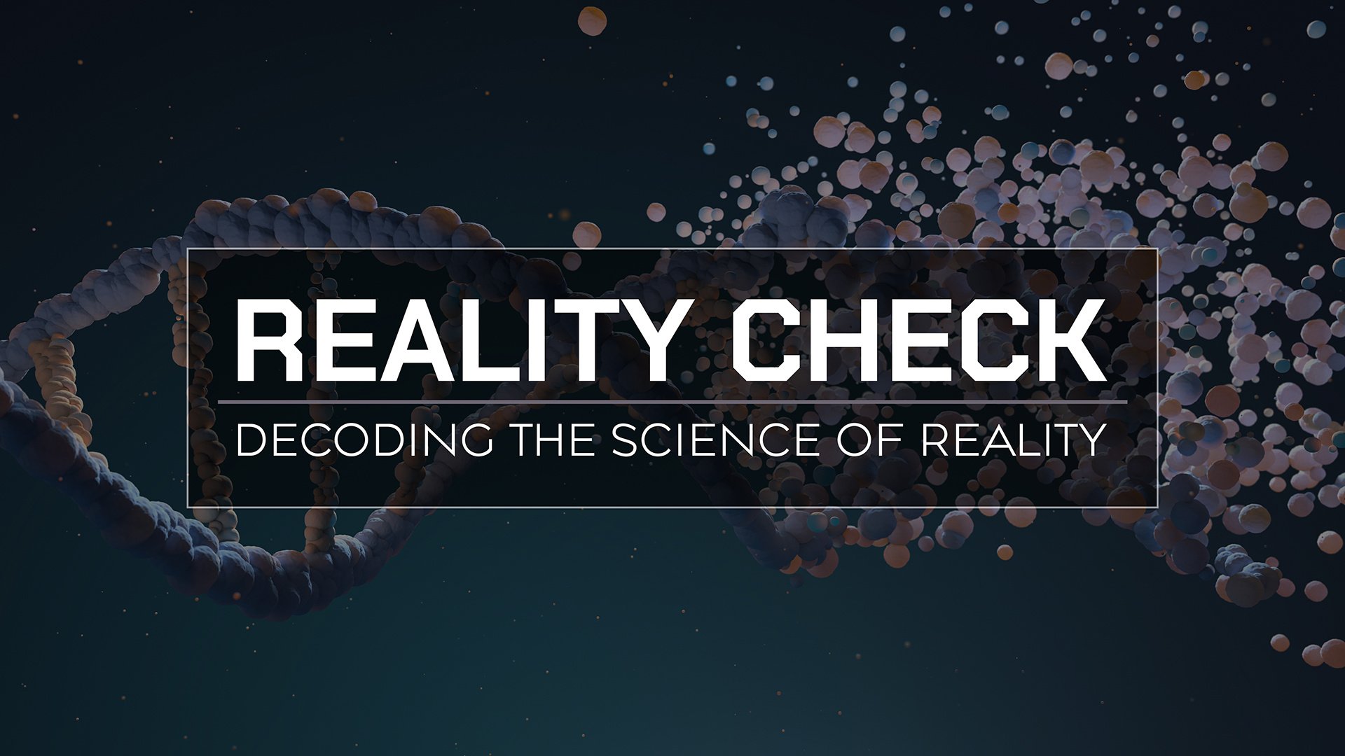 Reality Check Cover [hz]